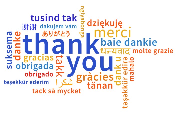 Partanen Consulting | Partenan Web Image Multilingual Team